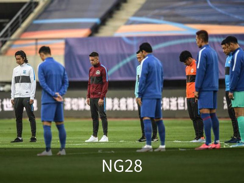 NG28简介